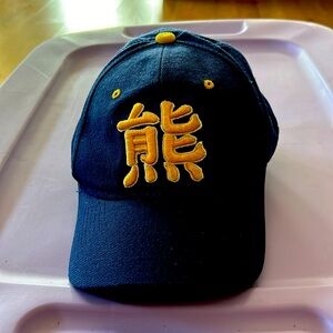 Vintage Y2K Cal Berkeley Bears Baseball Cap